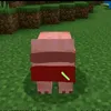zaiideppnek