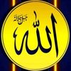 user2873623530666