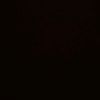 caros_222