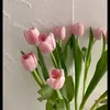 shy09677123