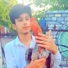 adeel.jutt5695