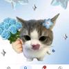 naura.175.cute
