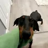 mamacanihavesomecookie14