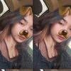 celsi.sjawk