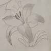 lee.nguyn523