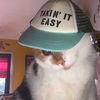 lestzz_sqp