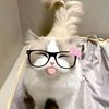 xu_chizue