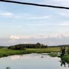 dedek.andina