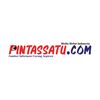 pintassatu