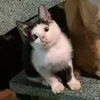 nquynnn_003