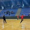 grety_25_handball