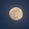 torokdramak