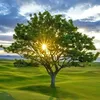 world beautifull