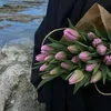 ashna.om
