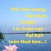 user82357281881975