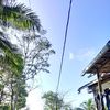 bukanmainanmu0