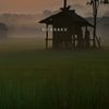 mangipin_0266