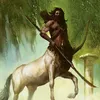 5sagitarius5