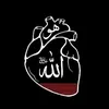 muhammadmayo06