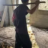 bonsaryeesi
