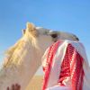 Mohammad⁷⁰⁵