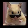 makkikat