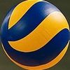 Volleyballers