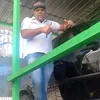 araujosilva803