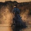 horselovers722