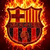 c.c.o25