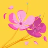 ahmed538081