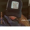 samisha779