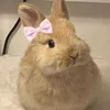 viviandbebe