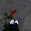 user4316600069609