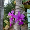 fatima.bernardo11