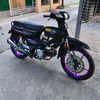 zamz0584