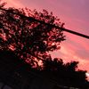 maria_11_45_42
