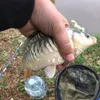 acfishing0