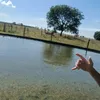 kezz0025