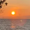 baongoc211223