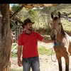 aurelianopeixoto83