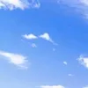 bro1086485