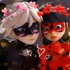 blackcat.lover_2310
