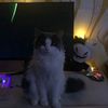 cyxaruku3ekb