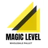 Magic Level