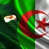 user4311474600568