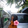 whoss_ilaww