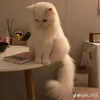 .z_hr7