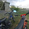zov_265