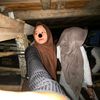 nayra_yapping